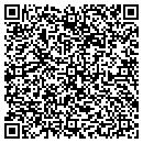 QR code with Professional Web Design contacts