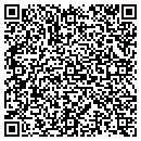 QR code with Projections Company contacts