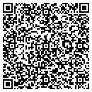 QR code with Productive Databases contacts