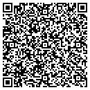 QR code with Cobis Systems Corporation contacts