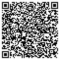 QR code with Nifiji contacts