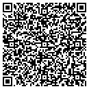 QR code with Brickner Properties contacts