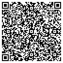QR code with Brian's Tree Service contacts