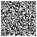 QR code with Carver Tile Services contacts