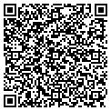 QR code with Intand contacts
