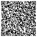 QR code with Premier Image contacts