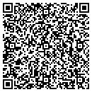 QR code with Practical Protocol LLC contacts