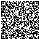 QR code with Cecil Davis Painting contacts
