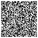 QR code with Collier Home Care Inc contacts