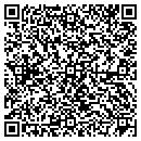 QR code with Professional Tile And contacts