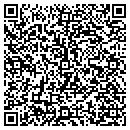 QR code with Cjs Construction contacts
