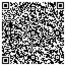 QR code with Public Interest Telecom contacts