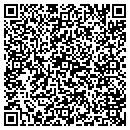 QR code with Premier Projects contacts