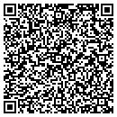 QR code with Precision Auto Sales contacts