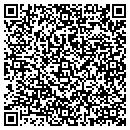 QR code with Pruitt Auto Sales contacts