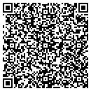 QR code with Pyramid Pre-Owned Auto Sales contacts