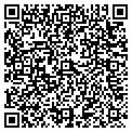 QR code with Laser Tile Stone contacts