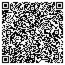 QR code with Premier Logic contacts