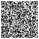 QR code with Printing Systems LLC contacts