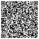 QR code with Professional Insight Inc contacts