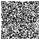 QR code with Carrolls Auto Sales contacts