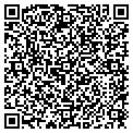 QR code with Gavcorp contacts