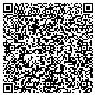 QR code with Baldwin Lawn And Lanscape contacts