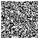 QR code with Carreau Designs Inc contacts