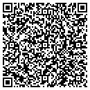 QR code with C&T Lawn Pros contacts