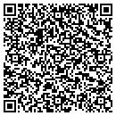 QR code with Pulse Systems Inc contacts
