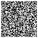 QR code with Premier Telecom contacts