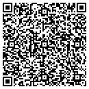 QR code with Castleworth Ltd LLC contacts