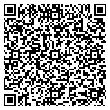 QR code with Tmg contacts