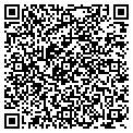 QR code with T-Tile contacts
