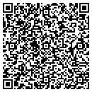 QR code with Pubfuse Inc contacts