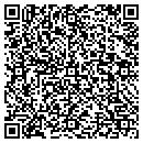 QR code with Blaziek Drywall Inc contacts