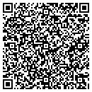QR code with Price Automotive Inc contacts