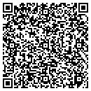 QR code with Precursor Systems Inc contacts