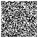 QR code with Promote Your Website contacts