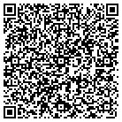 QR code with Pulsestream Intemet Service contacts