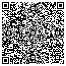 QR code with Baldwin Lawncare LLC contacts