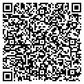QR code with Digger contacts