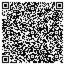 QR code with Blue Ridge Lawn Care contacts