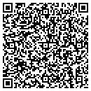 QR code with Blue Rock Properties contacts