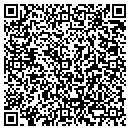 QR code with Pulse Technologies contacts