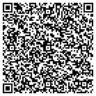 QR code with Cirrus Data Solutions Inc contacts