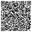 QR code with Ms Tile contacts