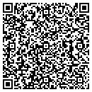 QR code with Pronk Dennis contacts