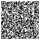 QR code with Preston Auto Sales contacts