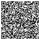 QR code with Prince Telecom Inc contacts